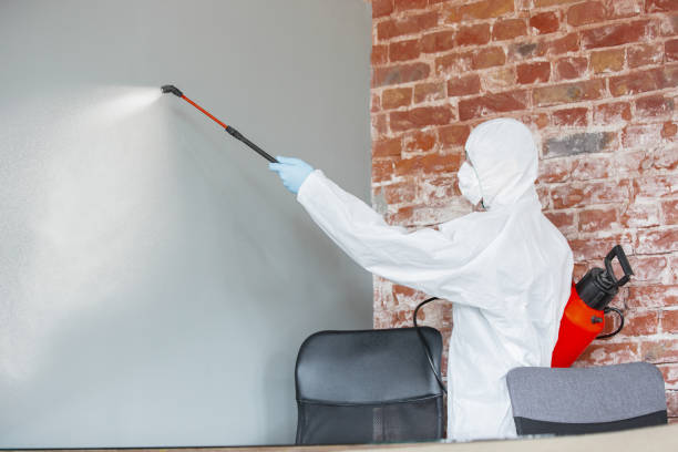 Best Residential Mold Inspection & Testing  in Bremen, GA