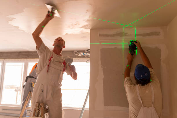 Professional Mold Removal in Bremen, GA