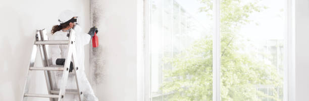 Best Mold Remediation for Healthcare Facilities  in Bremen, GA