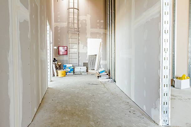 Best Mold Removal for HVAC Installations  in Bremen, GA